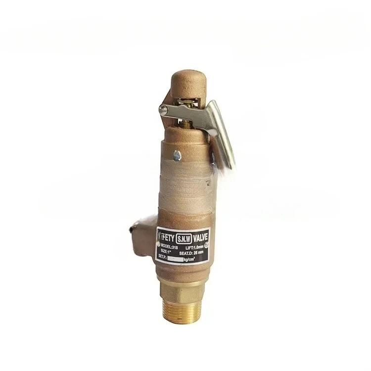 COVNA DN50 2 inch NPT / BSPT Thread Brass Bronze Boiler Steam Safety Relief Valve with Lever