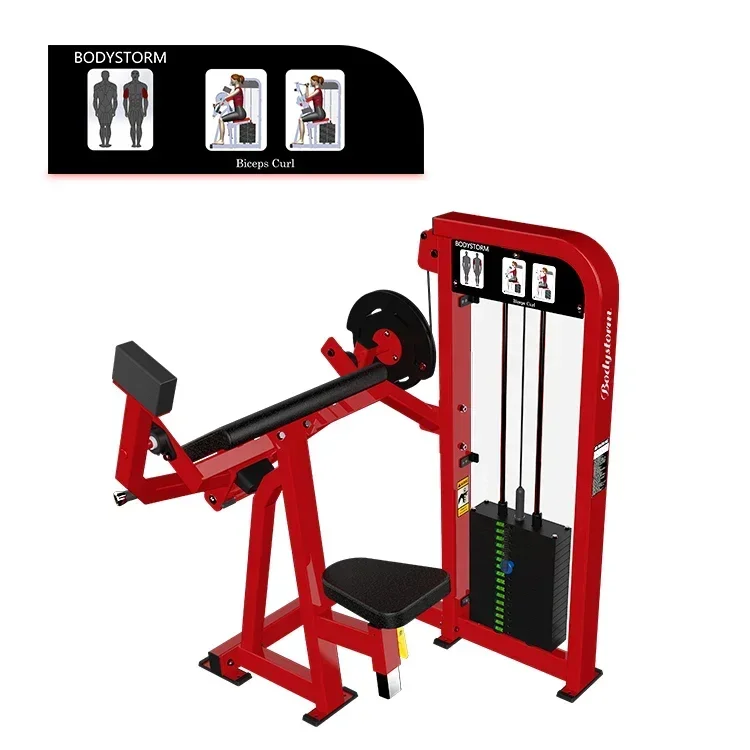 Commercial Gym Equipment Wholesale Best-selling Fitness Equipment Power Machine Biceps Curl