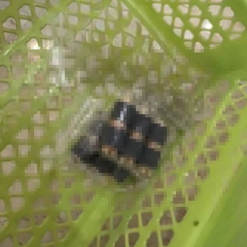 

Ролик подачи бумаги для Xerox WorkCentre 5335 7525 7535 7775 5325 7655 7665 7675 7755 7765 7425 7428 7435 7530 7545 7556