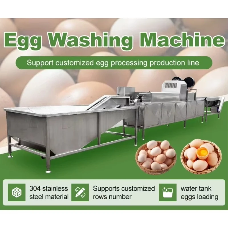 Stainless Steel Egg Processing Machine, Chicken and Duck Egg Shell Washing Cleaning & Weight Grading Washer Grader Equipment