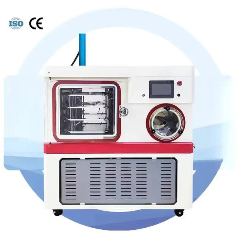 Industrial Pilot Freeze Equipment Vacuum Dryer For Laboratory And Hospital Use Fruit And Vegetable Crispy Food, Fruit