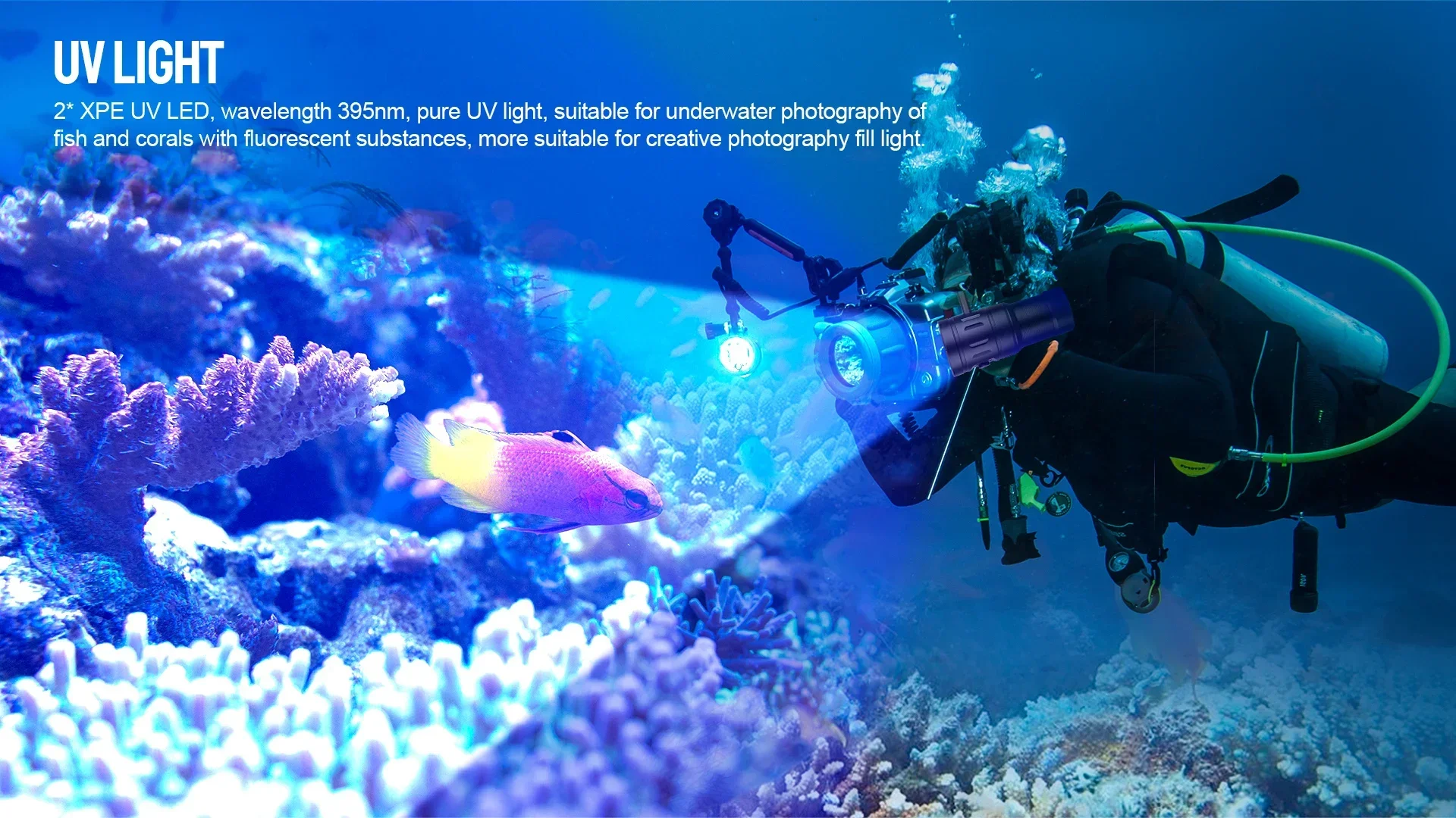 

Лучший подводный фонарь TrustFire DF35 для дайвинга, 2350 лм, с красным и УФ-светом, для подводной съемки и видеосъемки