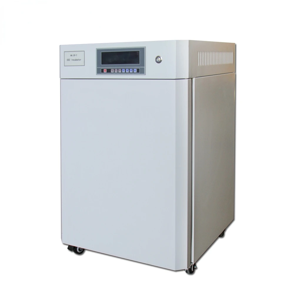 

80L 160L co2 incubator thermo /Carbon dioxide incubato