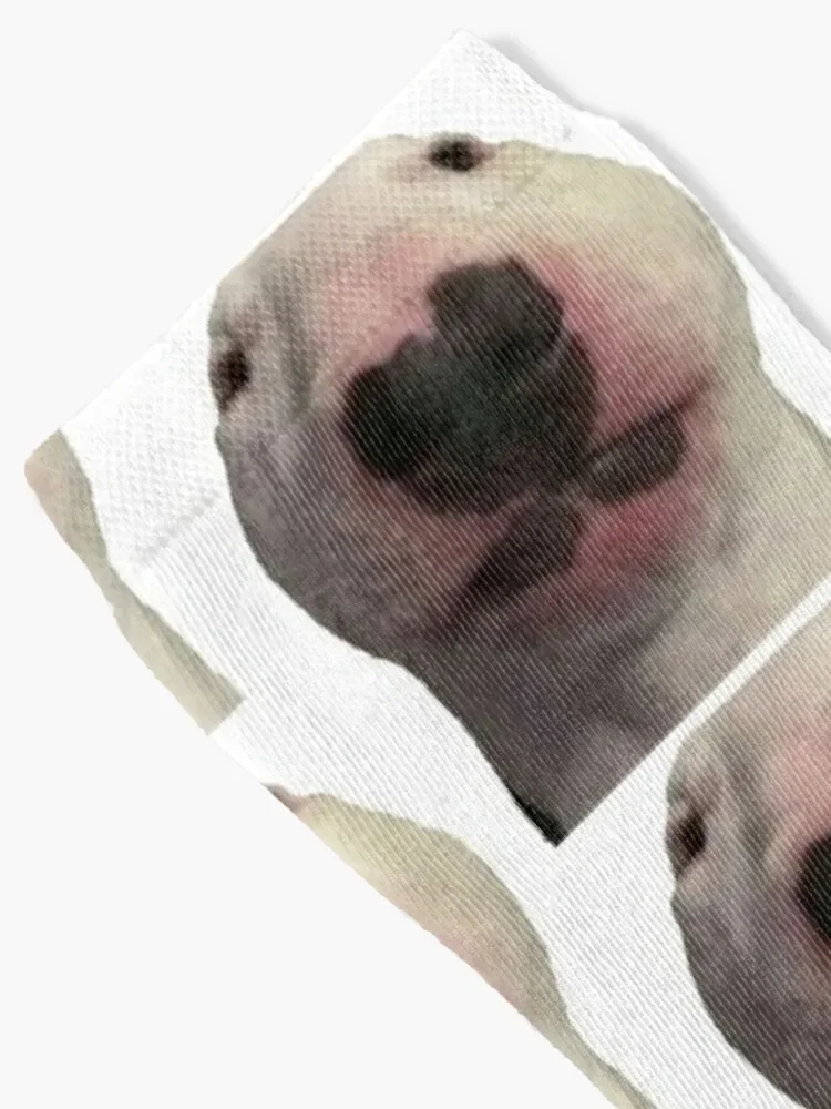 Walter dog meme Socks designer calzini da donna di capodanno da uomo