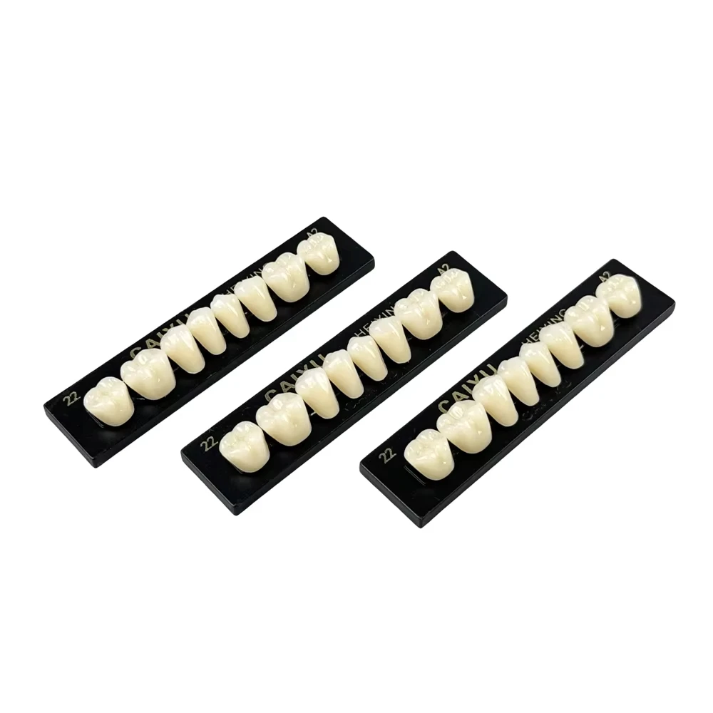 Fotografia 4: 1 Caixa de Dentes de Resina Dental, Dentes de Resina Acrílica Sintética A1 A2 A3, Próteses Dentárias Pré-formadas para Arcada Superior e Inferior, Suprimentos Odontológicos