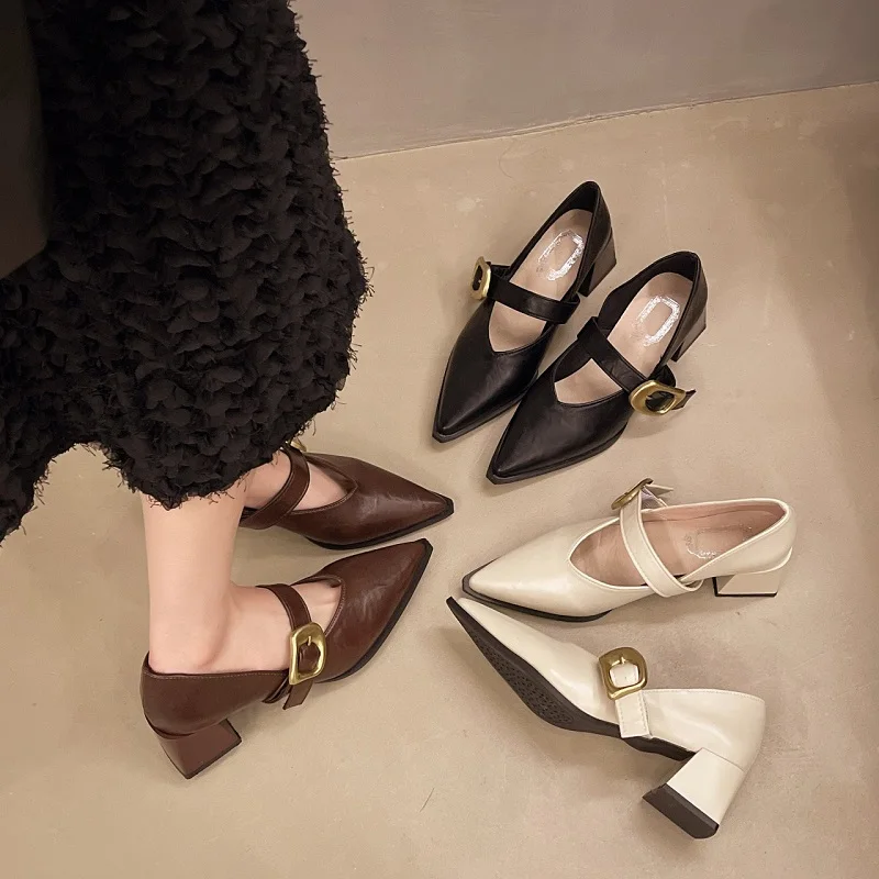 

2025 New French Retro Leather Shoes for Women in Spring, Versatile, Pointed Single Shoes, Thick Heels, Straightened High Heels
