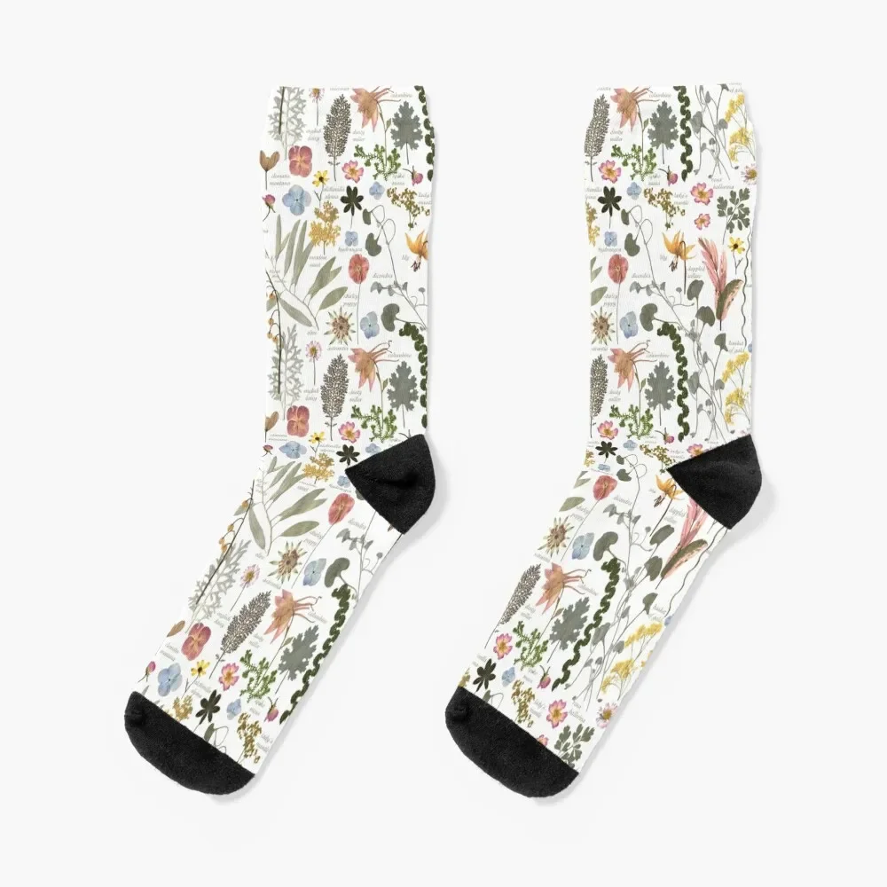 Botanical Sketchbook Pressed Flower Garden Socks shoes custom sports Women's Socks Men's