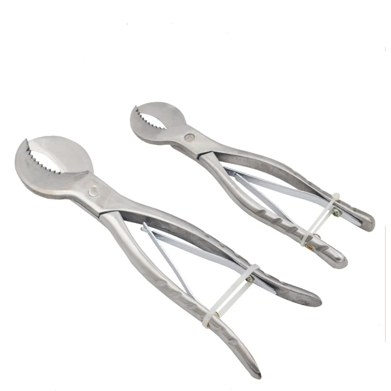 

1pcs Dental Lab Plaster Shears Scissors Plaster Nippers Gypsum Scissor Cut 20cm/16cm Long Dental Tools Equipment