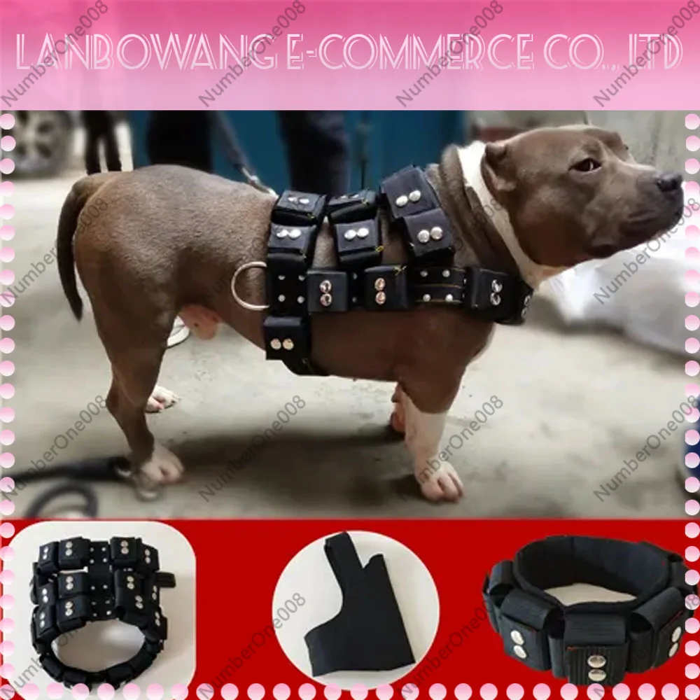 S-XL Empty Shell Weight Carrying Strap Workout Vest with Pockets Muscle Power Training Dog Harness For Large Medium Small Dogs
