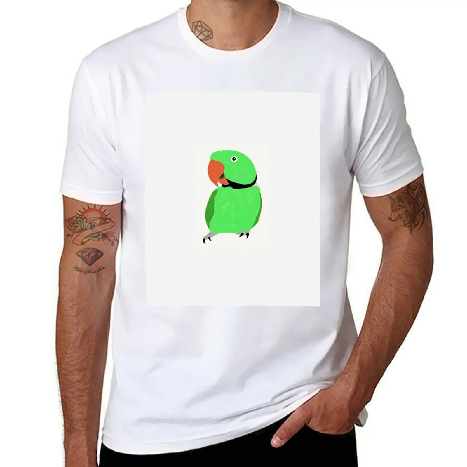 Camiseta Alexandrine Parakeet 2, camiseta deportiva de secado rápido para deportes al aire libre