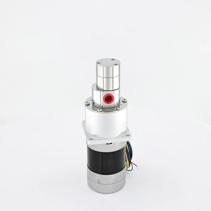 

Stainless Steel Magnetic Gear Pump Good Leakage-Proof and Sealing Performance