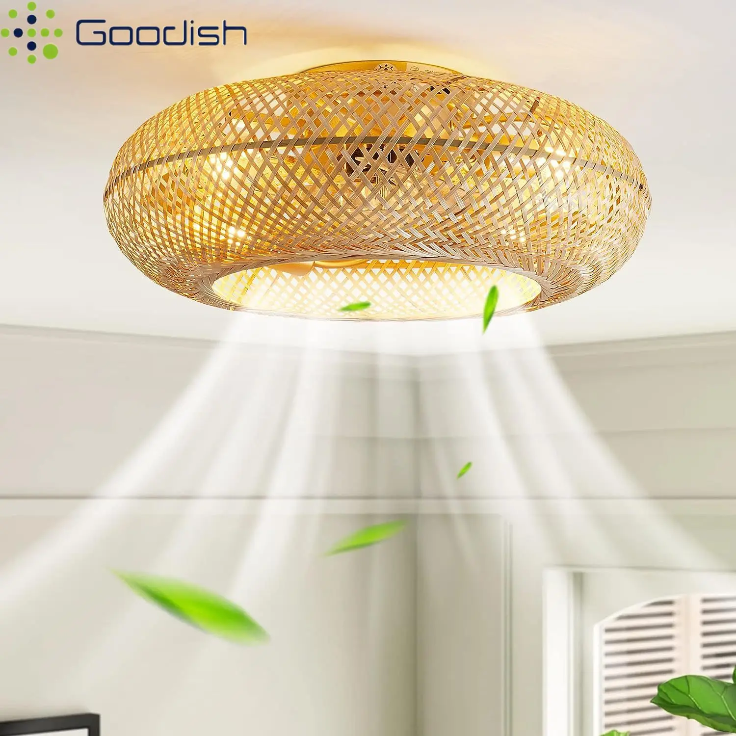 Modern Fan Light Wi…