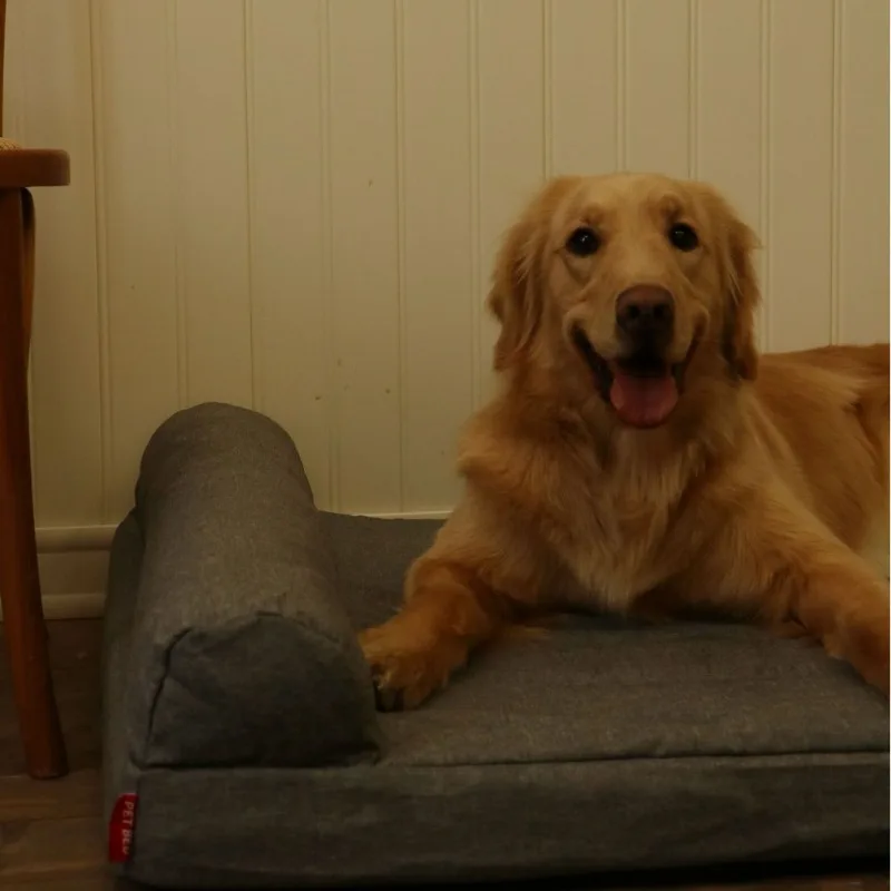 Orthopedic Winter Dog Mat Removable Washable Sponge Chew-Proof Cat Nest Rectangular Pet Bed Pillow Scratch-Resistant Comfortable