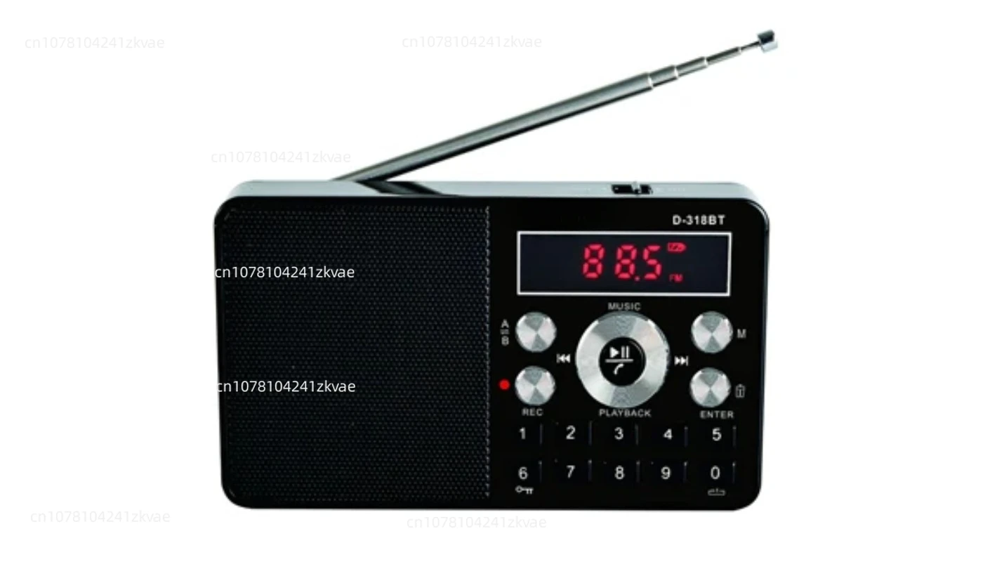 D-318BT FM Radio New High Quality Mini Wireless Rechargeable Mp3 Music Portable Receiver With TF Card 8G