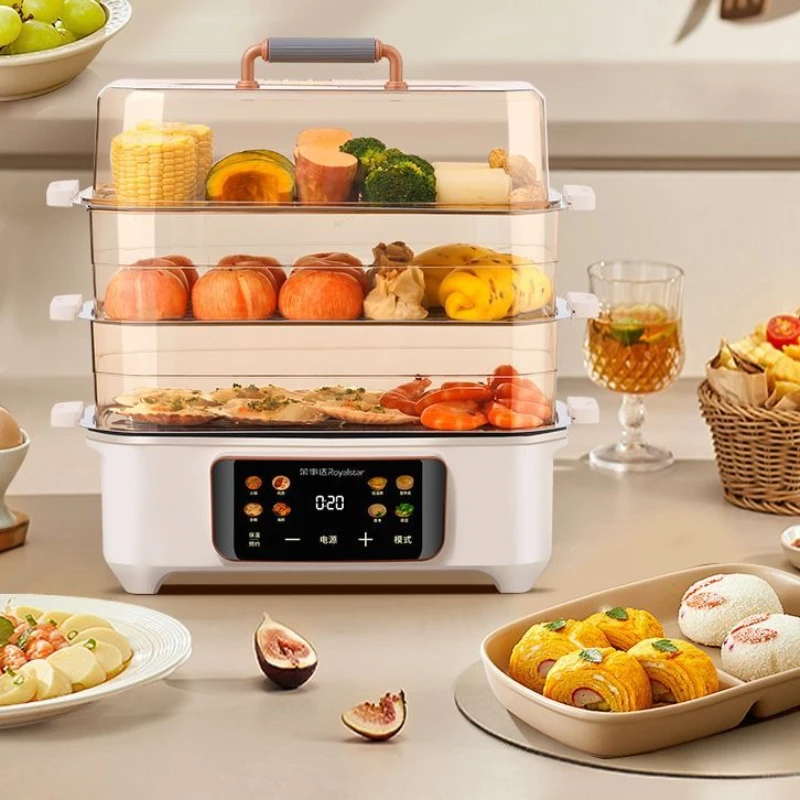 الاستخدام المنزلي 60 لتر باخرة كهربائية سعة كبيرة 2025: وعاء 7 لتر، وظائف مرئية وذكية