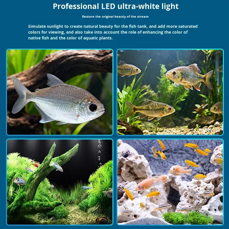 Jebao Smart Bluetooth Fish Tan - Planted Aquarium Algae Remover ulasan dan harga
