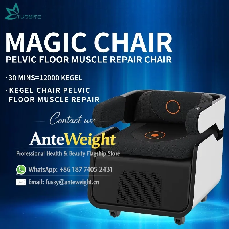 Professional Ems Pelvic Floor Massage Exerciser Chair Muscle Stimulator Machine  for Women