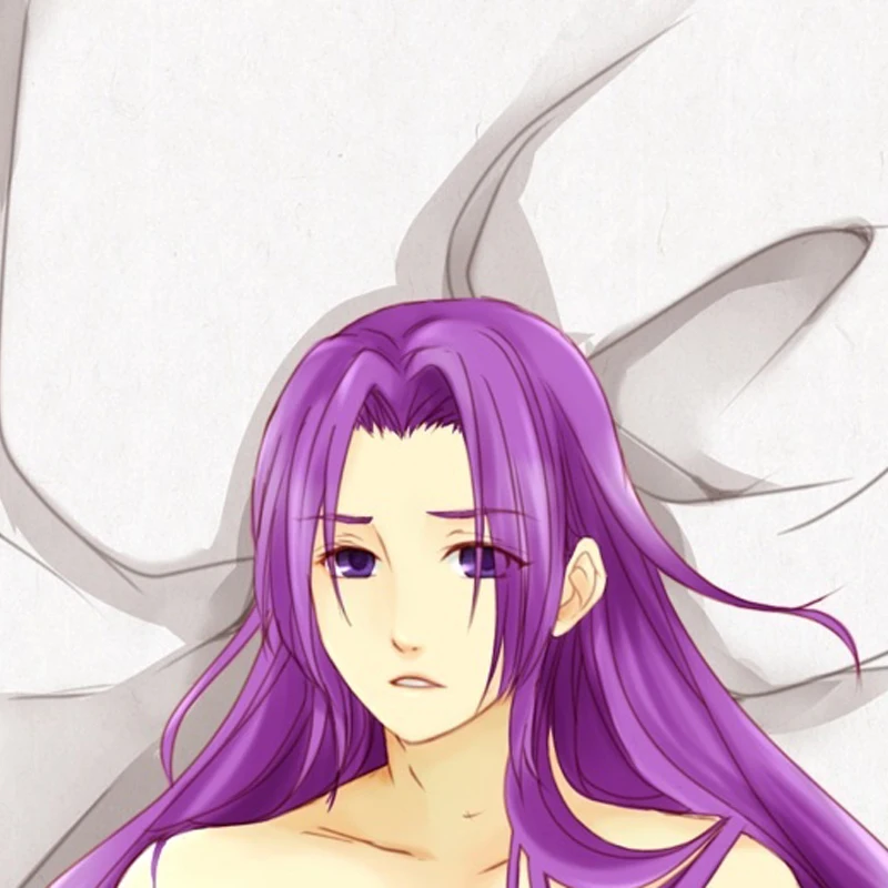 Dakimakura Anime Rider/Medusa Double-sided Print 2WAY Tricot Life-size Body Pillow Cover Pillowcase Custom print
