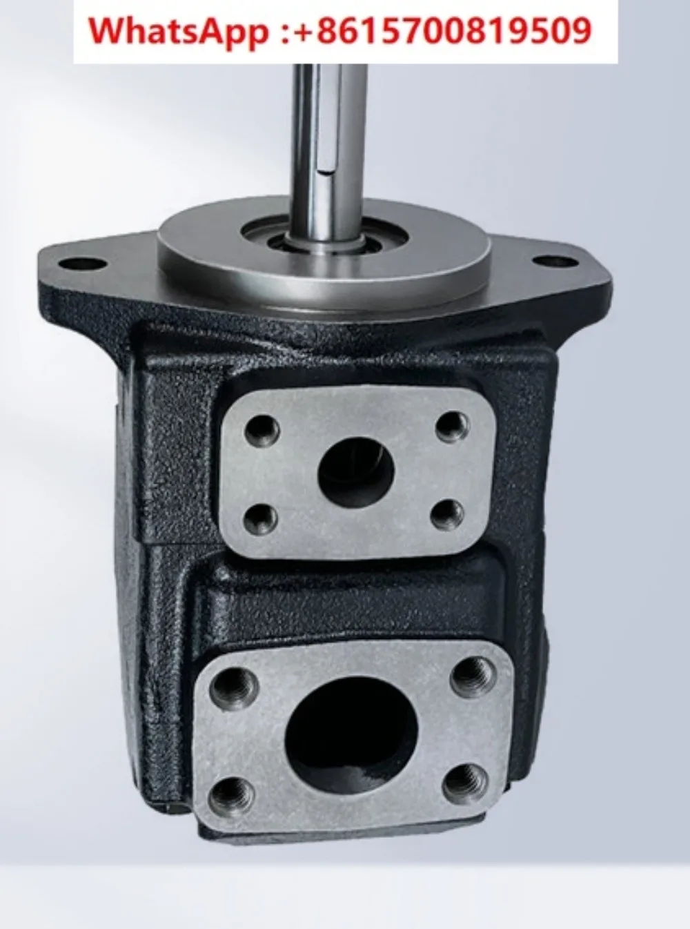 

Гидравлический лопастной насос T6C-003/010/012/022/031-1R00/01/02/03 -B1 количественный лопастной насос