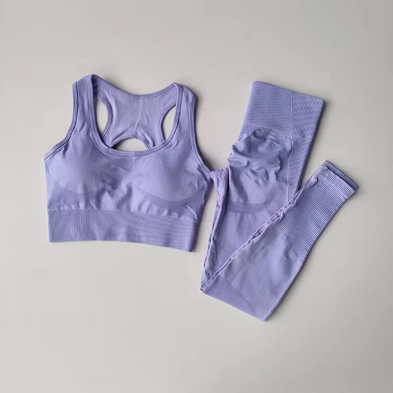 Conjunto de Sujetador deportivo para mujer, camiseta sin mangas profesional para Fitness, mallas para correr a prueba de golpes, traje de Yoga, ropa con sujetador trasero bonito, 2 uds.