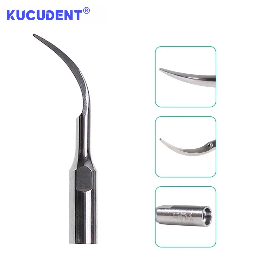 5 Pcs Dental Ultrasonic Scaler Tip Scaling Periodontics Endodontics Tip Fit for DTE/SATELEC Handpiece PD1 PD3 PD4 Dentistry