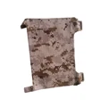 AOR1