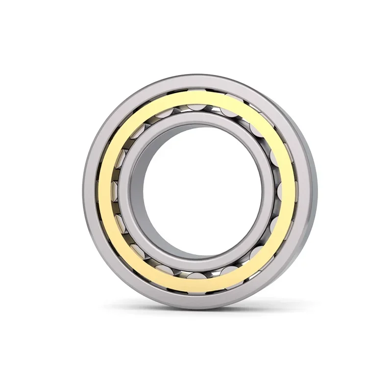 أسطواني أسطواني N/نو/NJ202 203 204 205 206 207 208 209 210 211 212 213 214 215 216em قفص النحاس/الصلب قفص تحمل