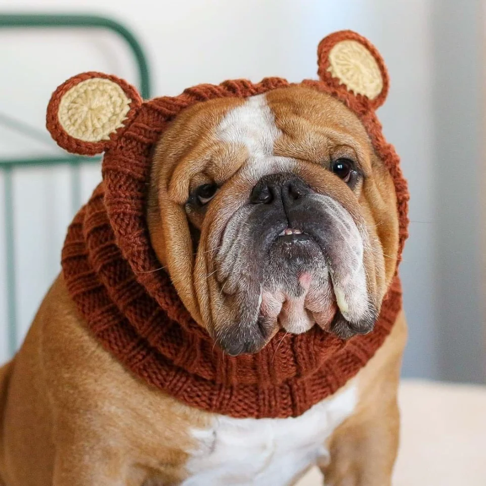 

Super Popular Halloween Pet Knitted Headgear Fox Little Devil Brown Bear Dinosaur Little Elf Design Dogs Festive Outfit Hat