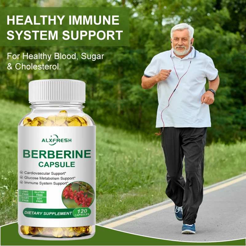 Alxfresh Berberine Extract Capsules for Improve Cardiovascular and Gastrointestinal Function and Promote Cholesterol Antioxidant