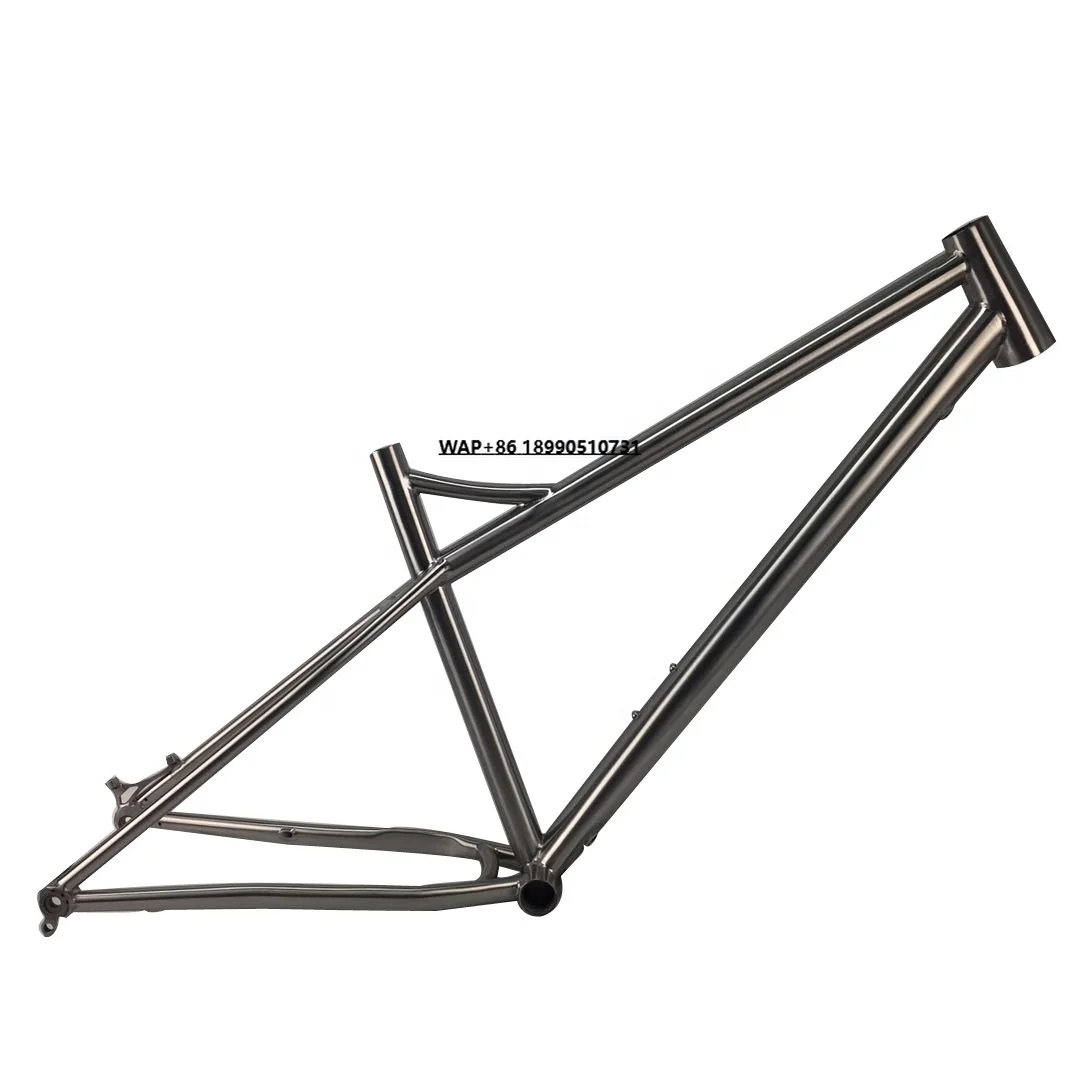 

Fashion and Special Titanium Fat Bike Frame