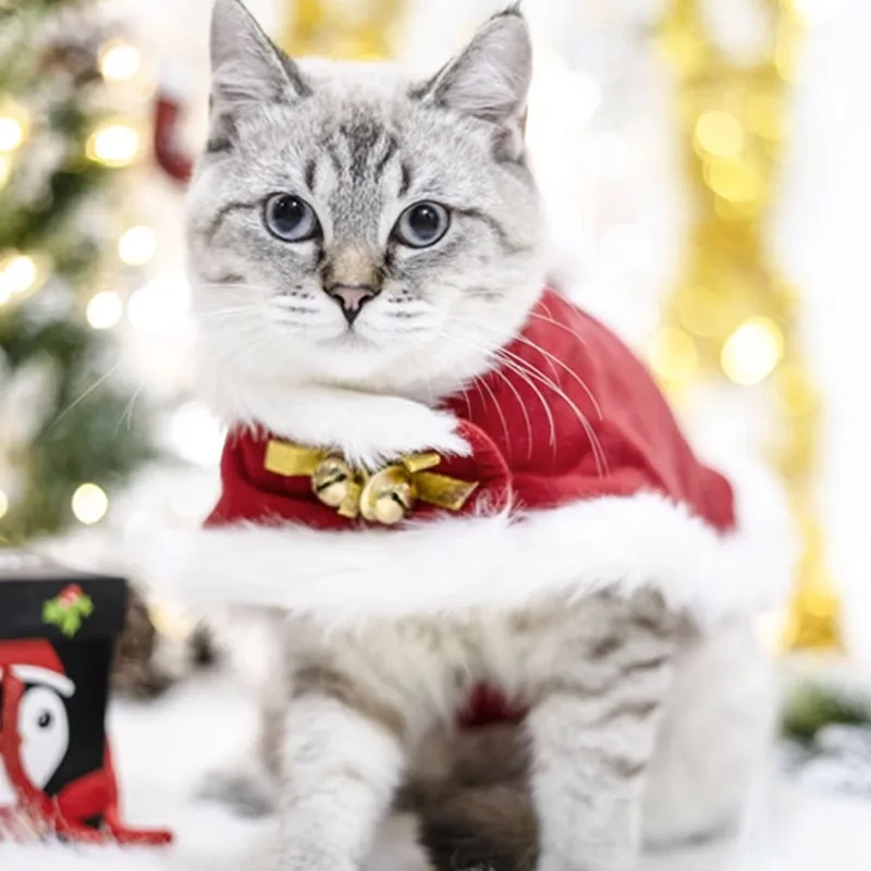 

Cat Costume Santa Cosplay Funny Transformed Cat/Dog Pet Christmas Cape Dress Up Clothes Red Scarf Cloak Props Decor