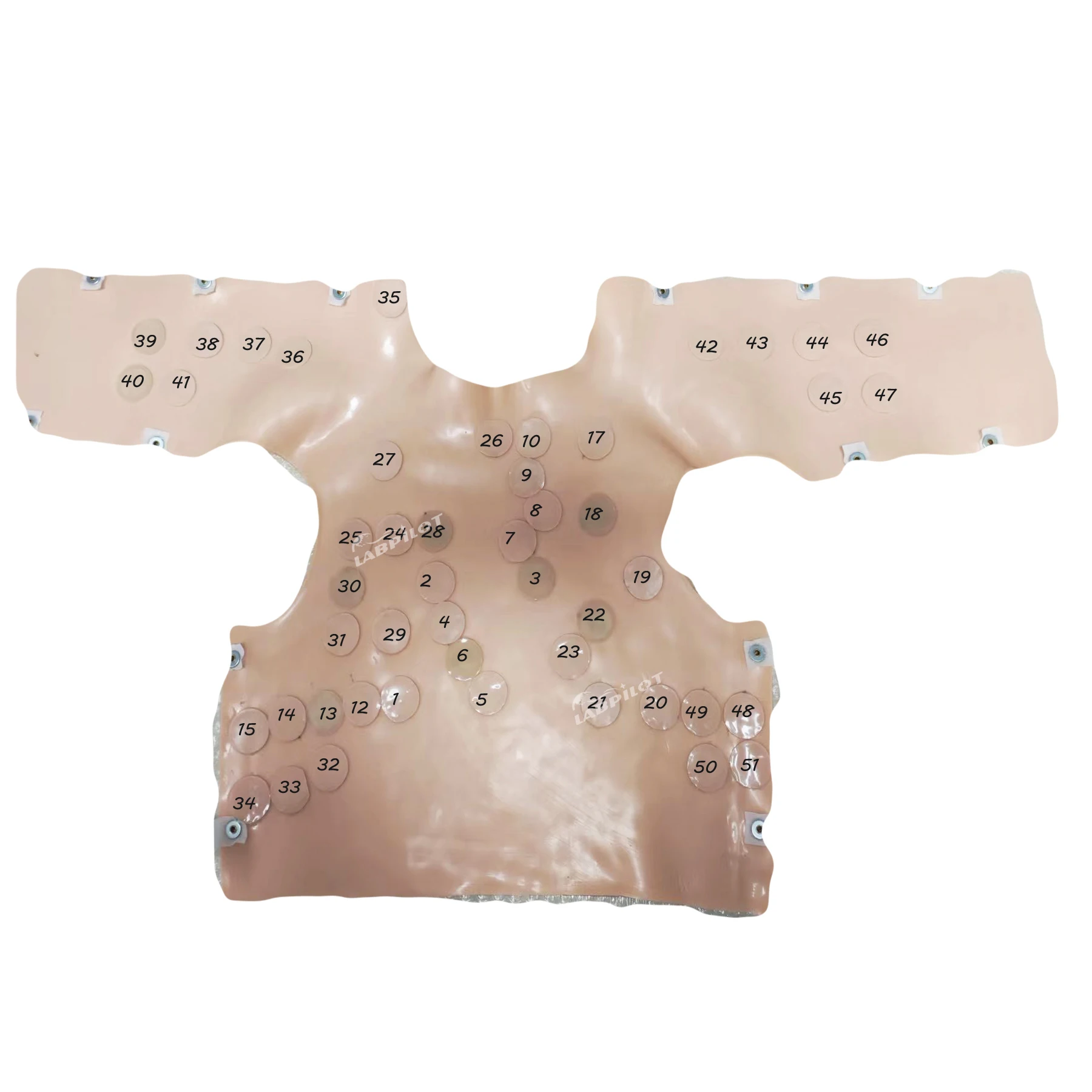 Cardiopulmonary Auscultation Training Vest Simulator Heart and Lung Sounds Teaching Medical Model