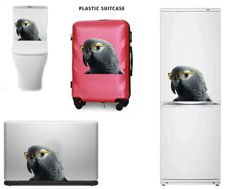 Funny African Gray decal, African Gray magnet, parrot sticker, African Gray art