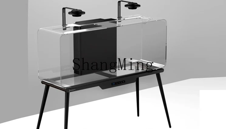 

ZYY native stream tank ecological landscaping filter oxygen making integrated machine living room medium goldfish tank