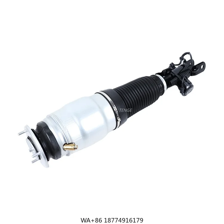 

Auto Part Front Air Suspension Shock Absorber for Equus 2011-2016 Air Shock Strut 54605-3N517 54606-3N517