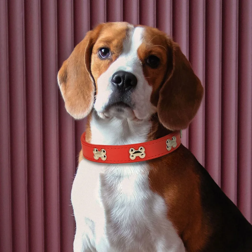 Leather Dog Collar For Big Dogs Cats Adjustable Pet Dog Collar Luxury Designer For Small Dogs Leather Accessories