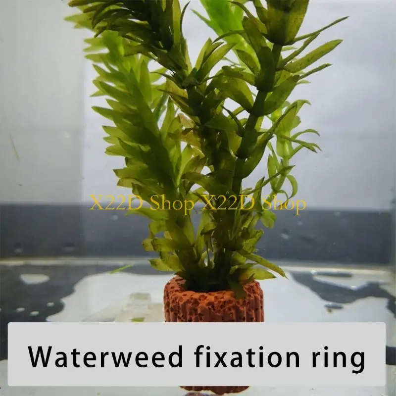 X22D Aquariums Plant Stand Plant Anchors Secure Hold for FishTanks Decorations