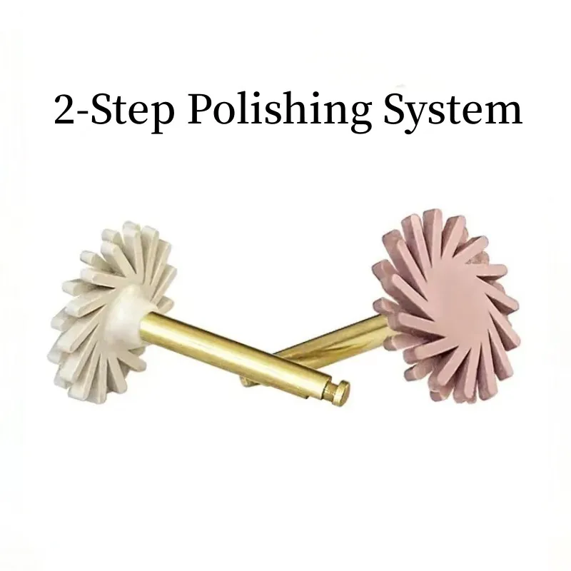 6Pcs Dental Rubber Polisher Composite Resin Diamond Impregnated 2-Step Polishing System RA Disc 14mm Wheel Kit Spiral Flex Brush