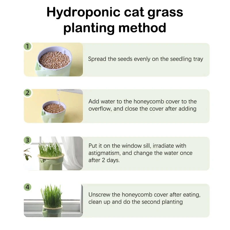 Cat Snack Cat Mint Planting Hydroponic Box Cat Grass Pot Color Contrast Hydroponic Cat Grass Box Cat Grass Planting Bowl Cat Toy