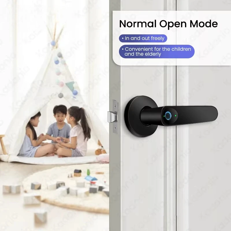 Electric Keyless Doorlock Handle Smart Fingerprint Zinc Alloy Bedroom Door Lock With Key