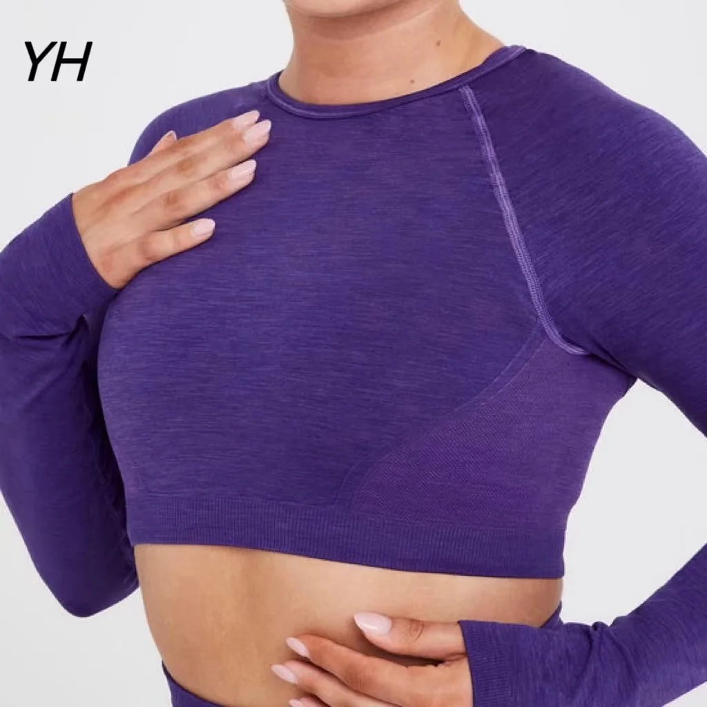 

Women's Yoga Shirt Seamless Crop Top Fitness Shirts Long Sleeve Sport Top Open Back Workout Tops Gym Workout Clothes Plus Size