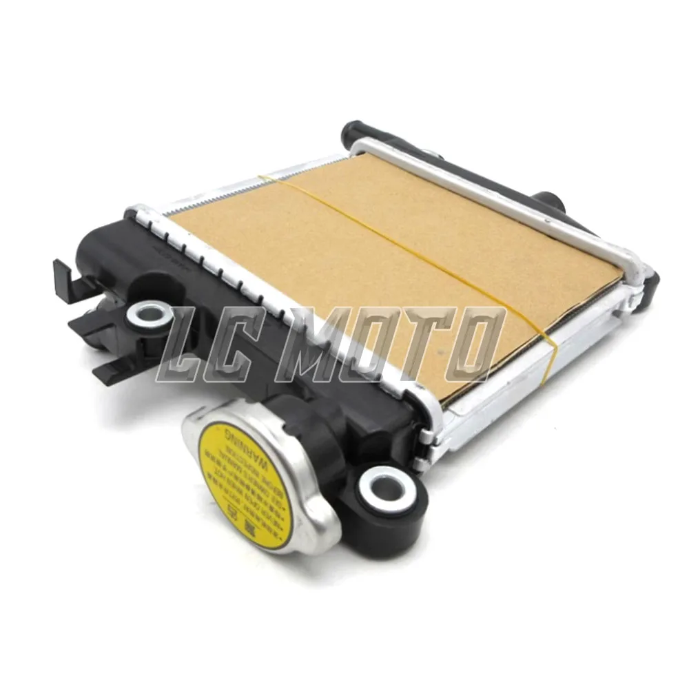 

Motorcycle Water Tank Radiator Assembly Original Accessories For SYM ADX125 HUSKEY ADV 150 DRG150