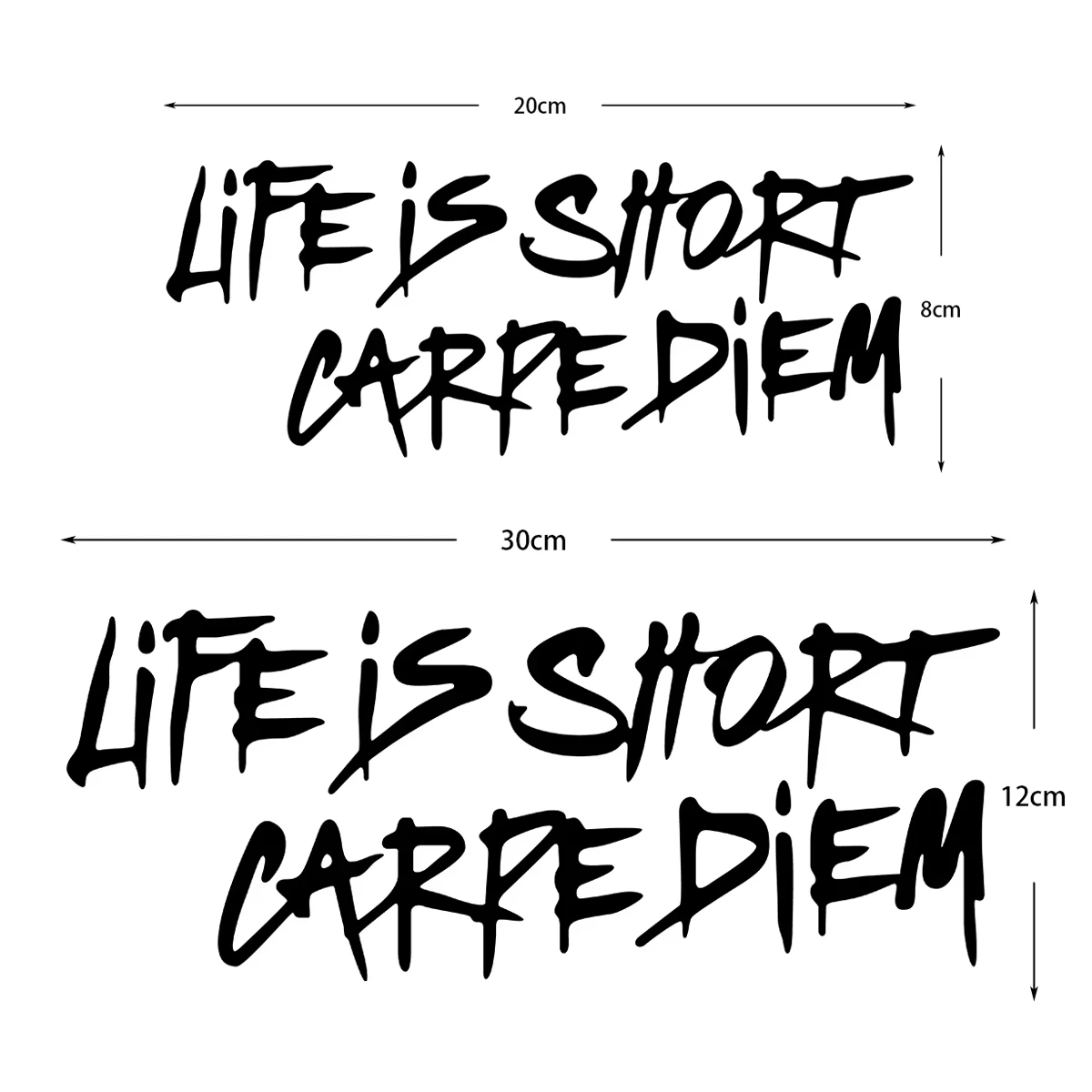 LIFE IS SHORT CARPE DIEM Text Car Stickers Decor Motorcycle Auto Body Windshield Fuel Tank Moto Helmet Decals Accessories