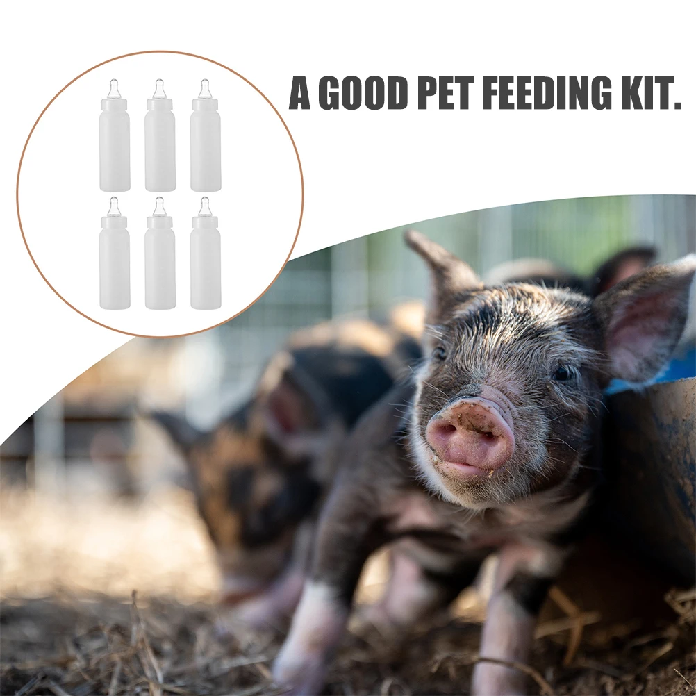 

12pcs Bottle Lamb Calf Goat Dispenser Smooth Surface Leakproof Farm Home Use Animal Feeding Kit Sheep for Feeding