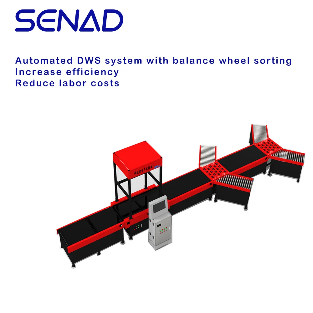 Scansione della macchina DWS del sistema di dimensionamento e smistamento della fotocamera per componenti principali PLC di e-commerce