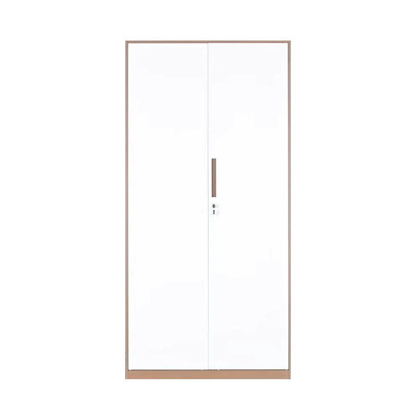 2 Door Metal Vertical Filing Cabinet for Office and School, Steel Storage Filing Closet
