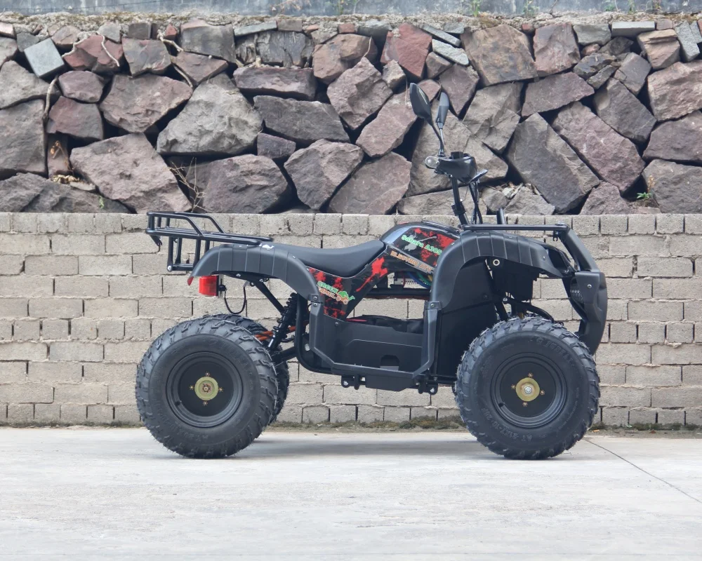 60V Electric ATV with Off-Road 10-Inch Tire Adult Motorbikes Protection Rating	 IP54