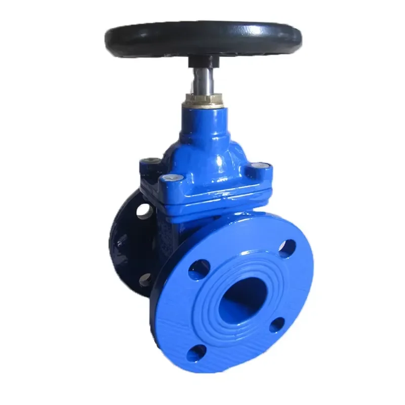 DN100 Cast Iron Soft Seal Gate Valve GOST Standard Factory Direct Sale Manual Power for Water