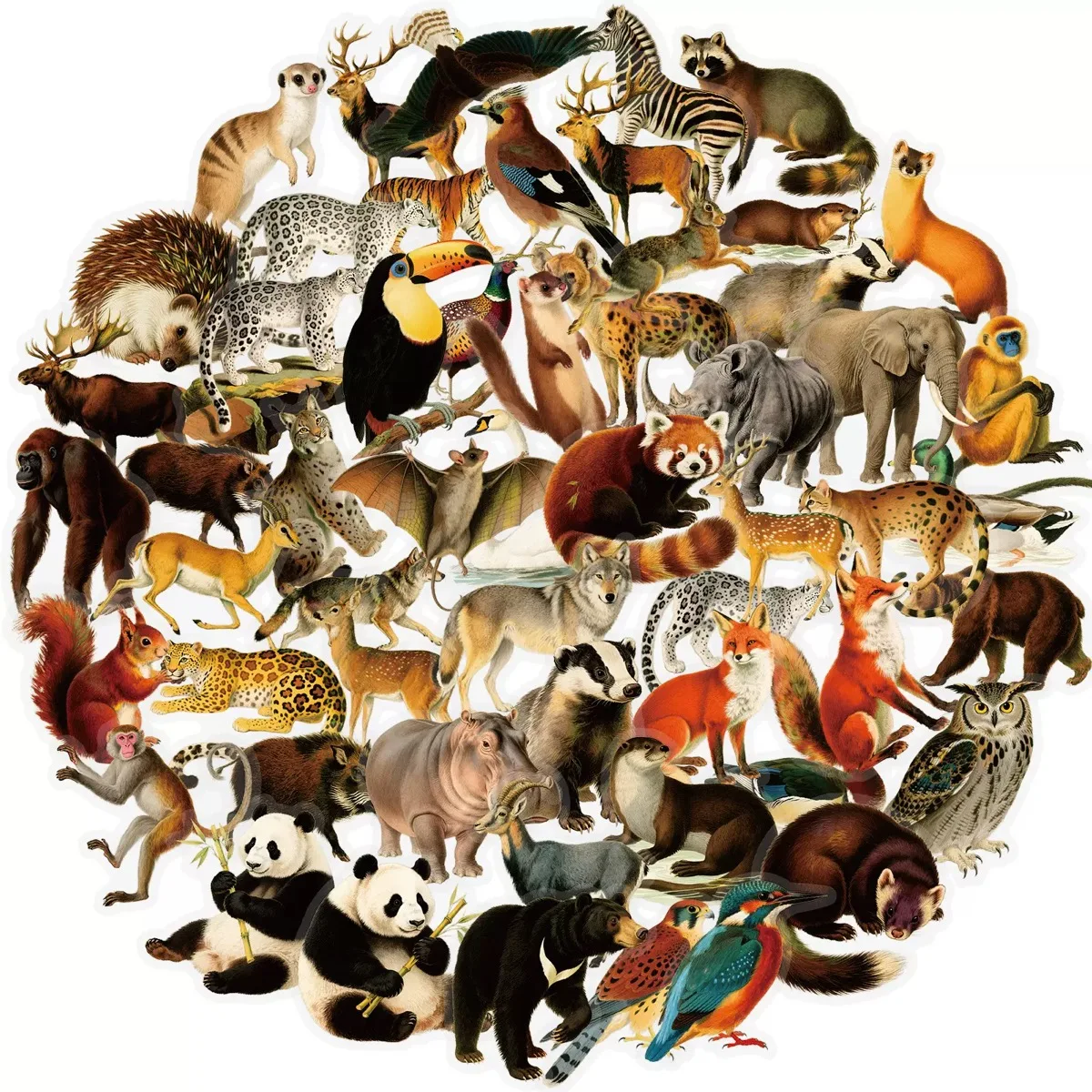 10/50 قطعة مختلطة الرجعية البرية الغابة الحيوانات الأليفة ملصقات الكتابة على الجدران للبنين DIY بها بنفسك لعبة سكرابوكينغ زجاجة ماء الهاتف الثلاجة ملصق