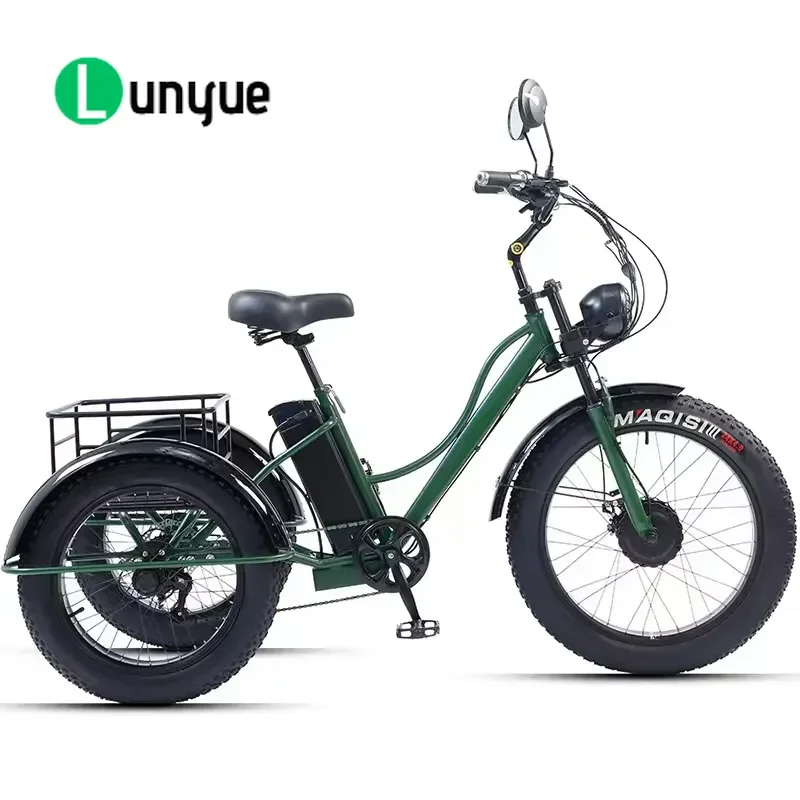 750W Motor Fat Tire Electric Tricycle Adult Three Wheel E Trike Pedal Assist Cargo Bicycle for Freight Delivery Powerful